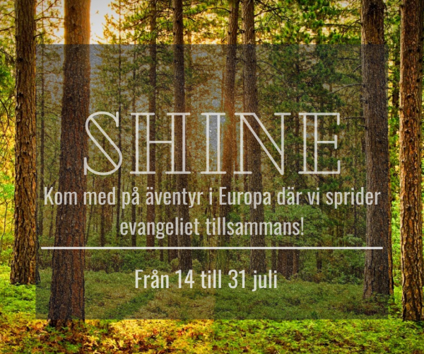 Shine – två sommarteam